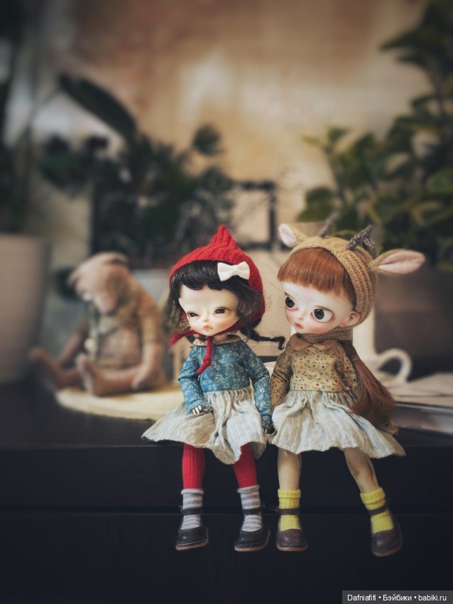 Котятки — Худжики (фото 5)