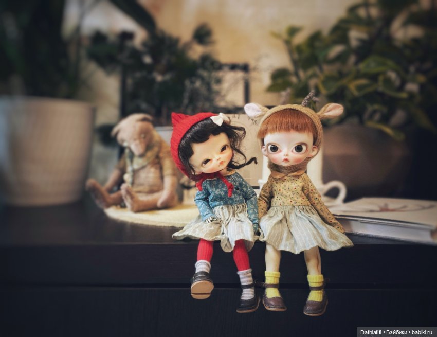 Котятки — Худжики (фото 10)