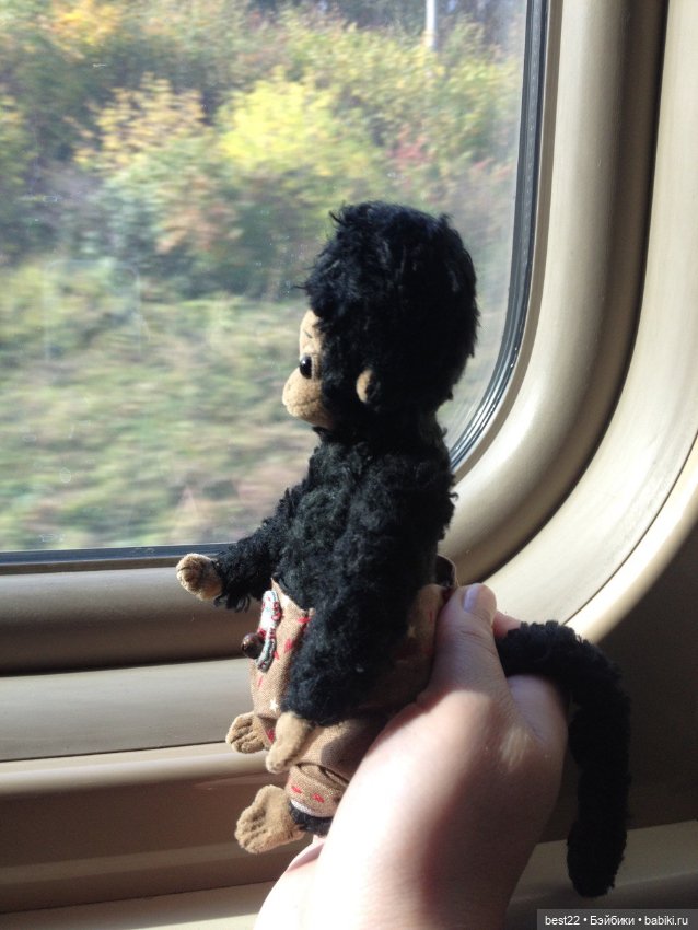 Домашняя мартышка Джонни — Авторские мишки Тедди и друзья: фото (фото 5)