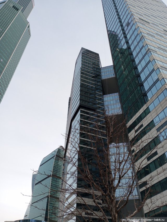 Лили и Москва Сити — Фэшн (фото 5)