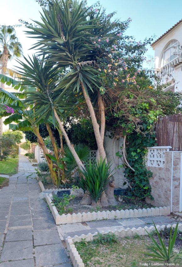 Испанская зима — Куклы LeeAnn (Denis Bastien) и Marianna Oldenburg: винил (фото 9)