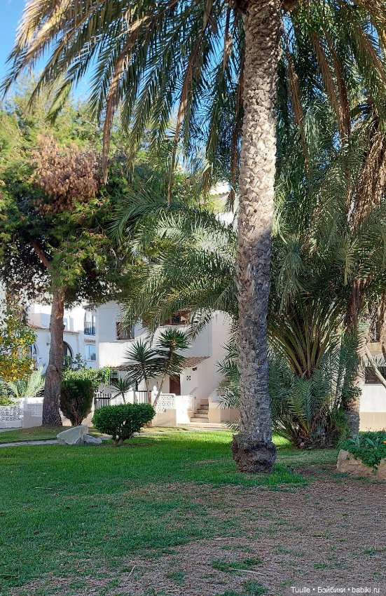 Испанская зима — Куклы LeeAnn (Denis Bastien) и Marianna Oldenburg: винил (фото 7)