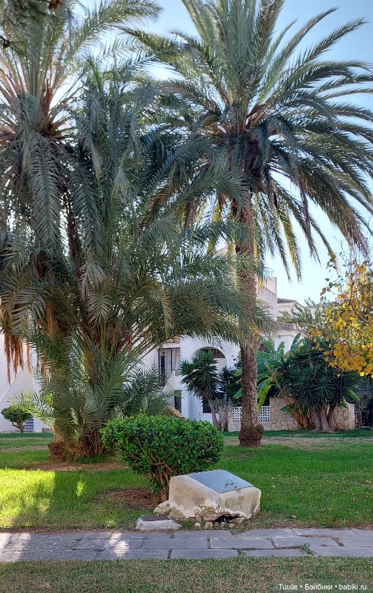 Испанская зима — Куклы LeeAnn (Denis Bastien) и Marianna Oldenburg: винил (фото 4)