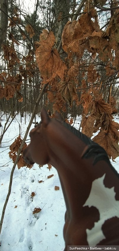 Боевой конь Сикис — Коллекционные экшн