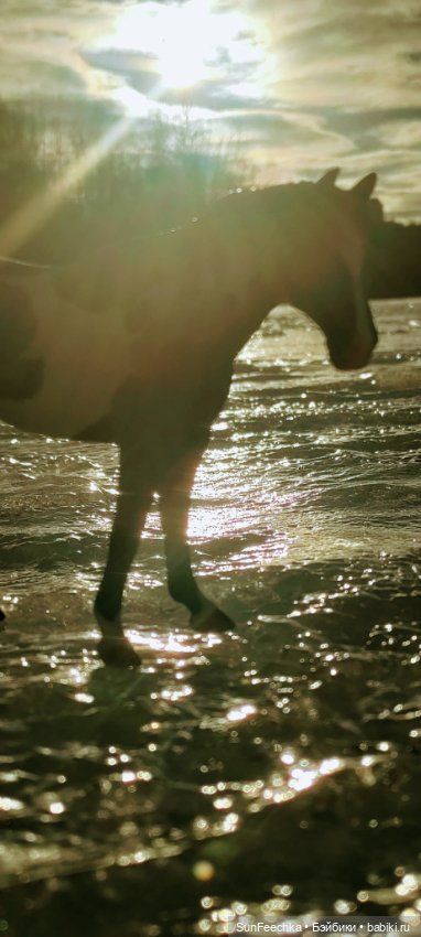 Боевой конь Сикис — Коллекционные экшн