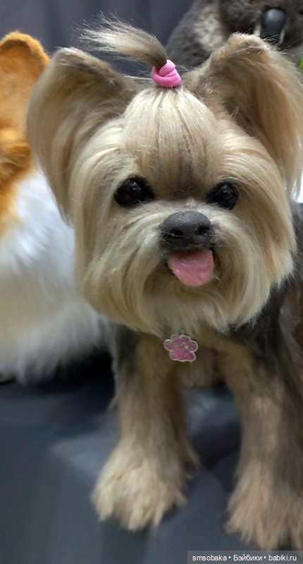 Выставка кукол в Москве - декабрь 2024, часть 8. Искусство куклы 2024