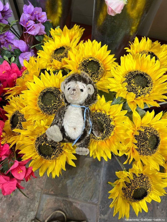 Музыкальная История 175 — Туризм и путешествия: фотоотчеты из поездок