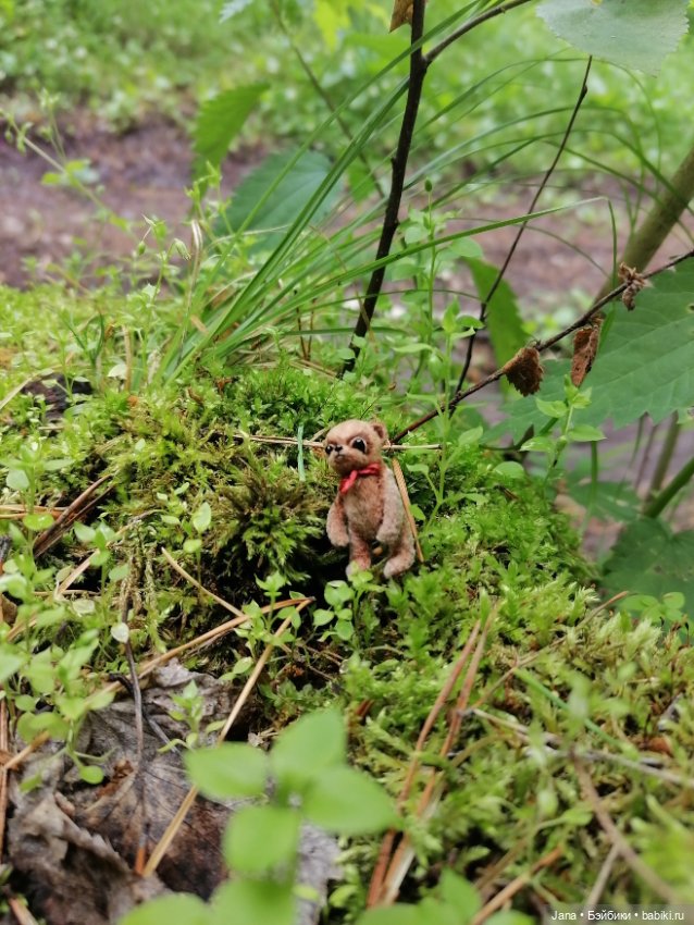 У меня юбилей на Бейбиках! 15 лет) (фото 5)