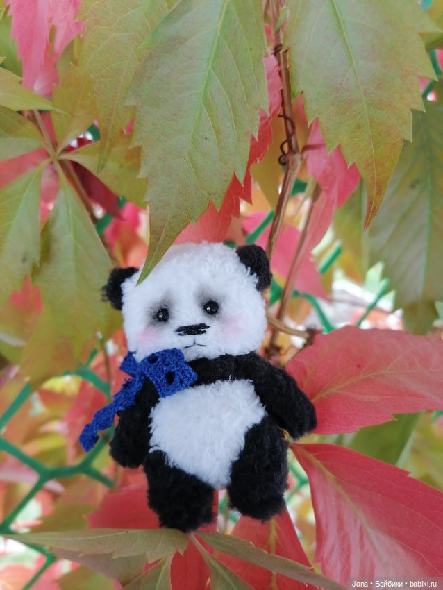 У меня юбилей на Бейбиках! 15 лет)