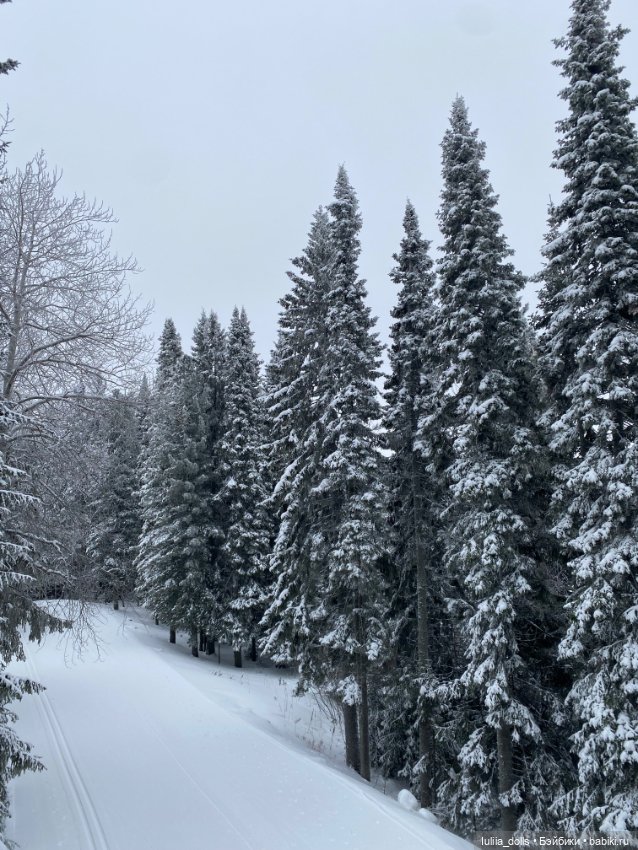 Жу в зимней сказке — Домашние фото авторских кукол: личные коллекции (фото 7)