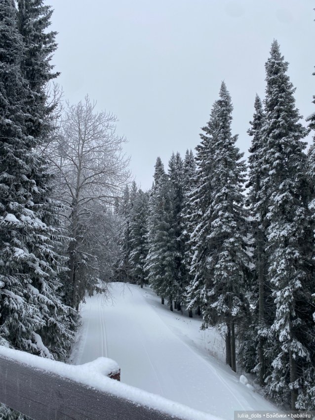 Жу в зимней сказке — Домашние фото авторских кукол: личные коллекции