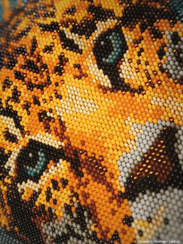 В засаде — Другие хобби и увлечения: сад (фото 3)