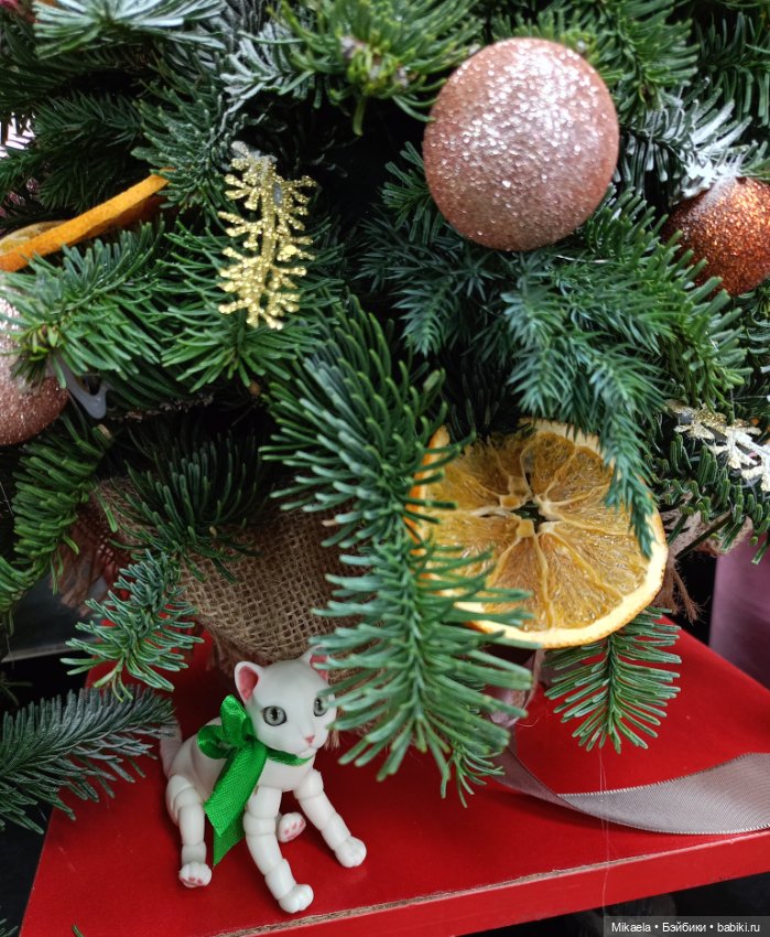 Котьи будни — Домашние фото авторских кукол: личные коллекции