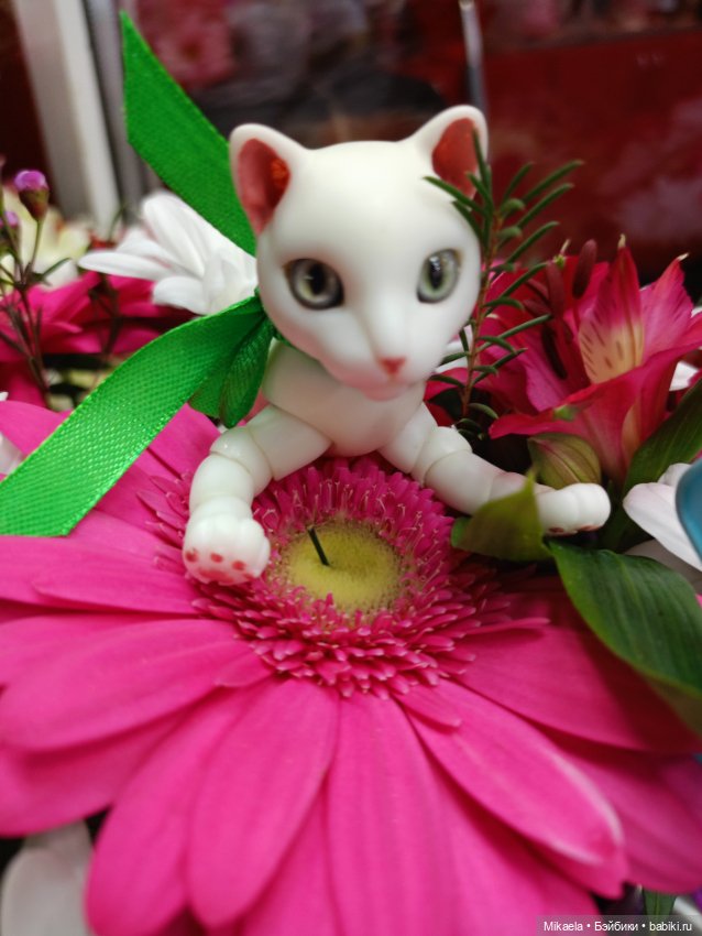 Котьи будни — Домашние фото авторских кукол: личные коллекции