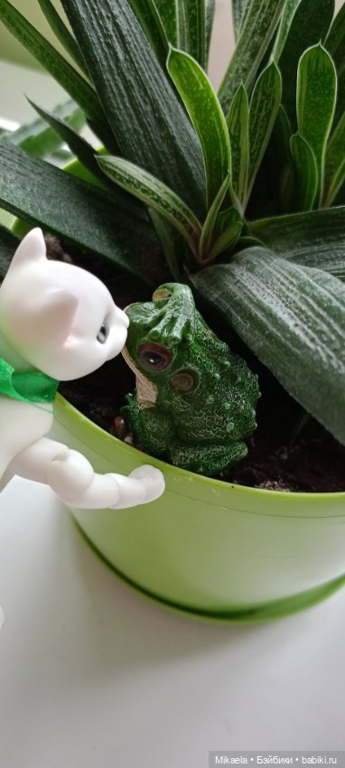 Котьи будни — Домашние фото авторских кукол: личные коллекции (фото 6)