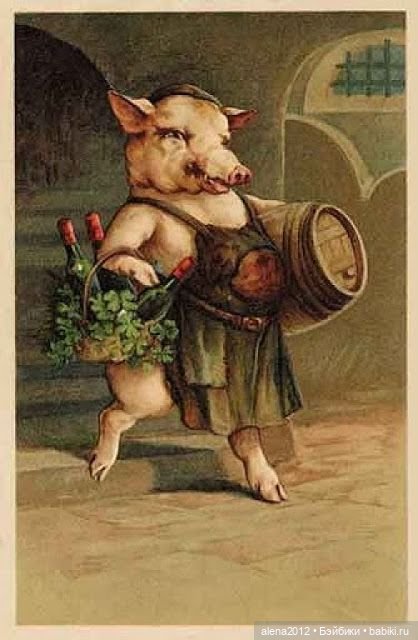 Из истории открыток с поросятами и свиньями