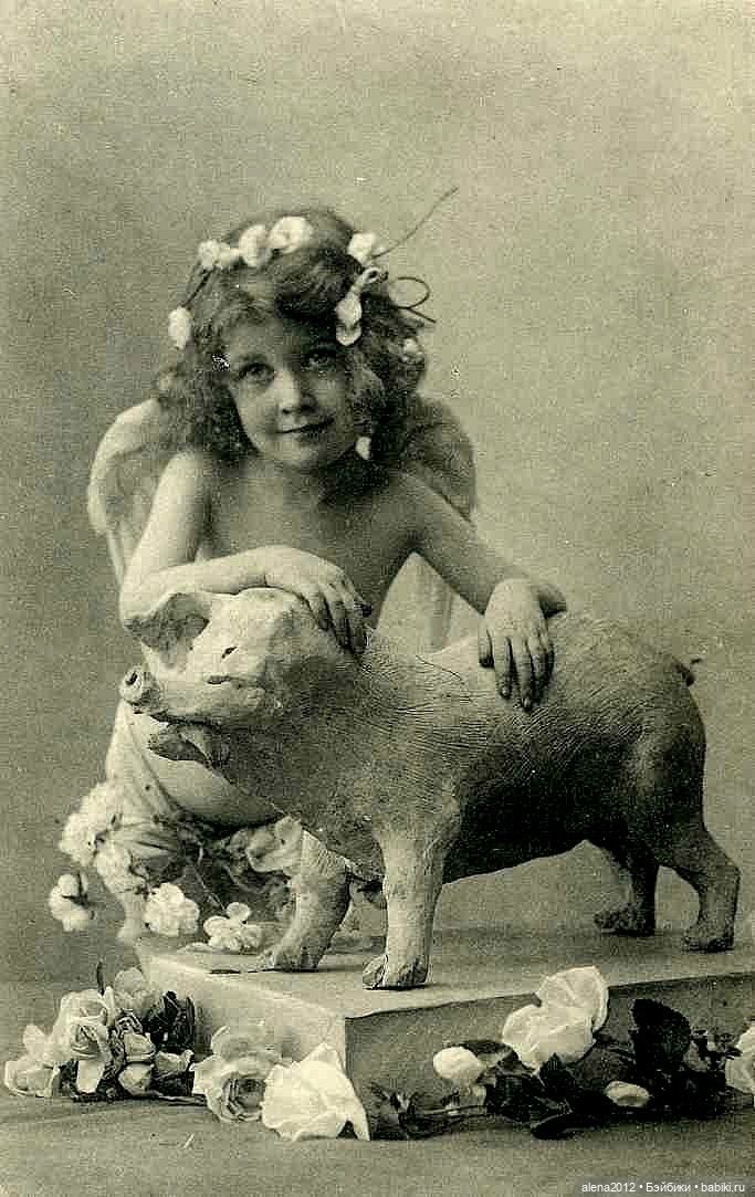 Из истории открыток с поросятами и свиньями