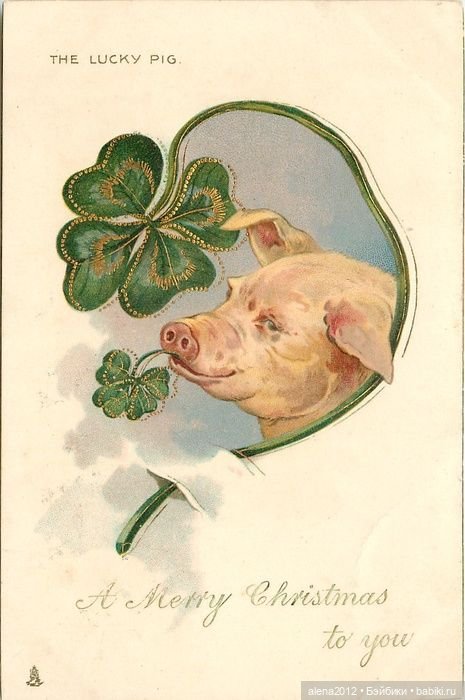 Из истории открыток с поросятами и свиньями (фото 4)