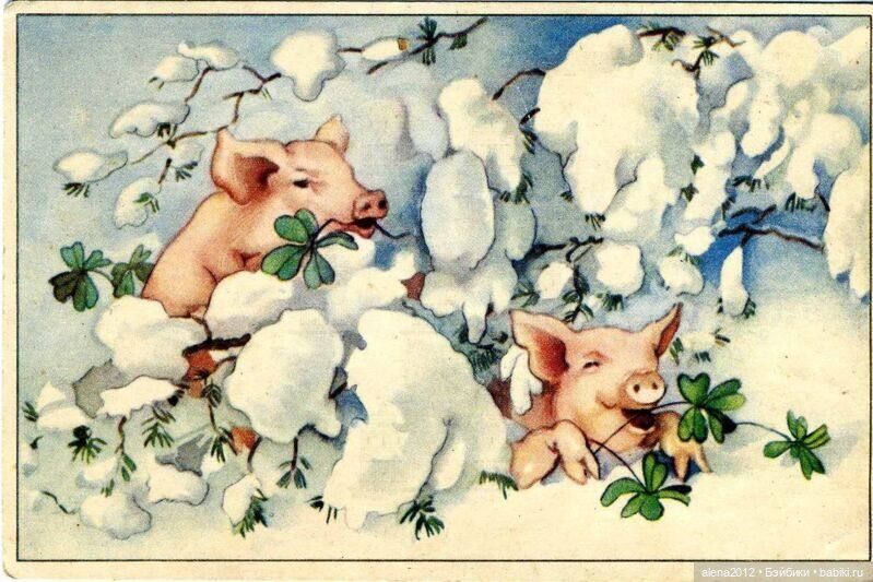 Из истории открыток с поросятами и свиньями