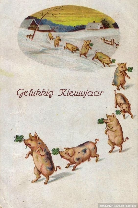Из истории открыток с поросятами и свиньями
