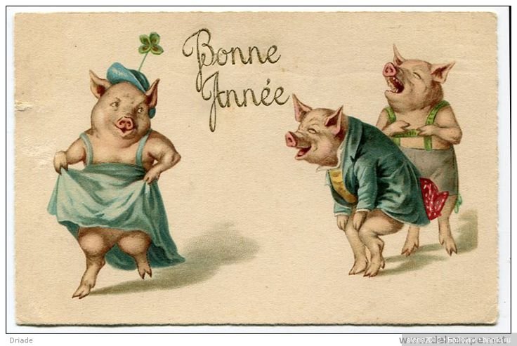 Из истории открыток с поросятами и свиньями
