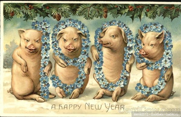 Из истории открыток с поросятами и свиньями