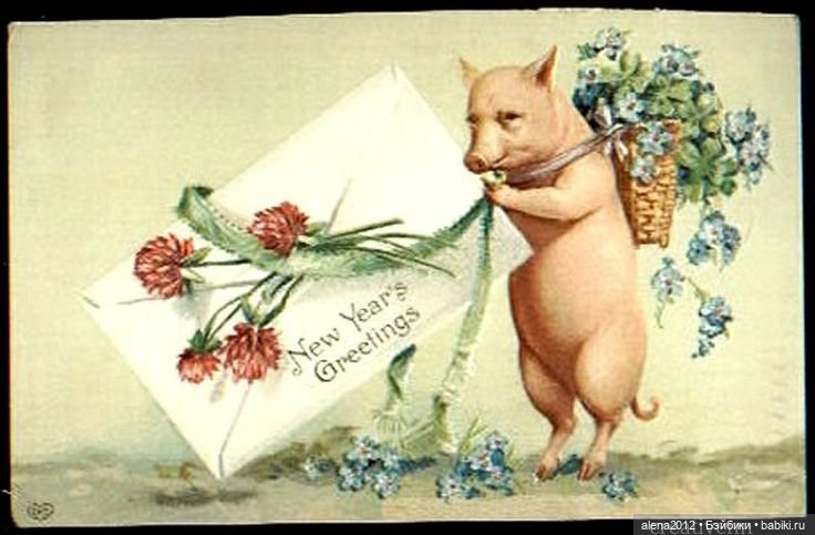 Из истории открыток с поросятами и свиньями