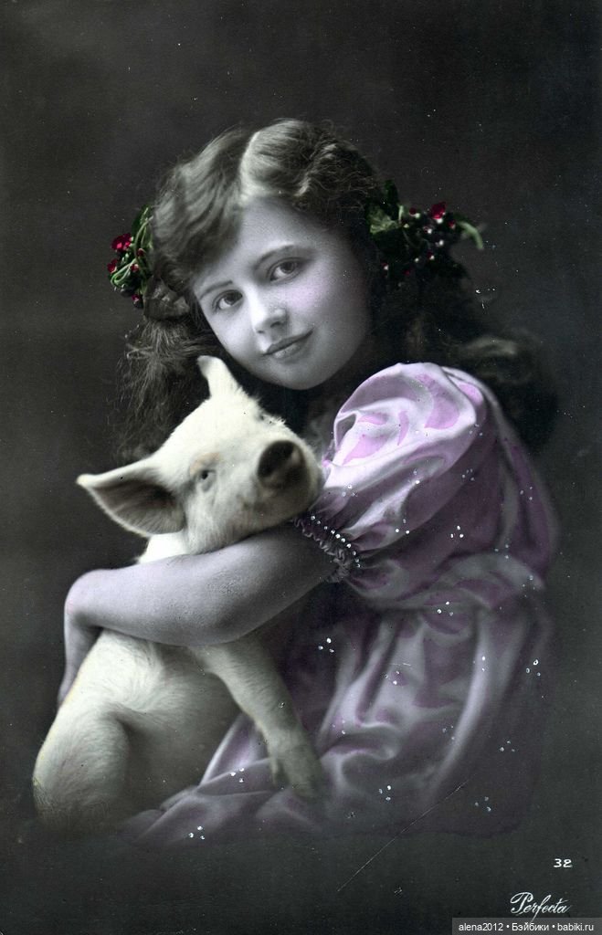 Из истории открыток с поросятами и свиньями