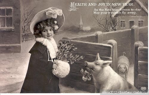 Из истории открыток с поросятами и свиньями