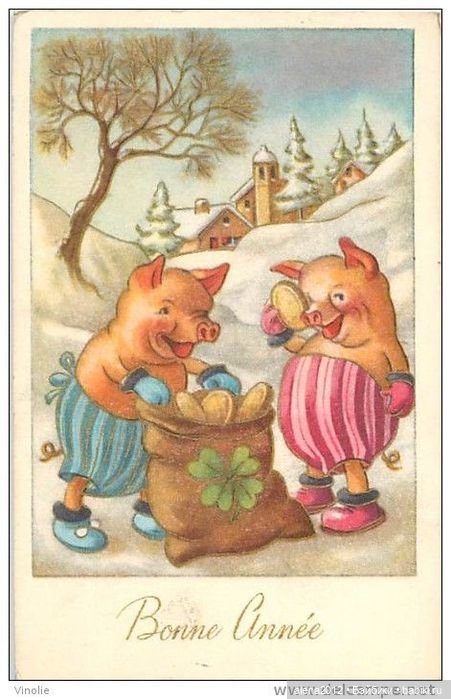 Из истории открыток с поросятами и свиньями