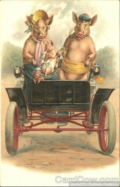 Из истории открыток с поросятами и свиньями