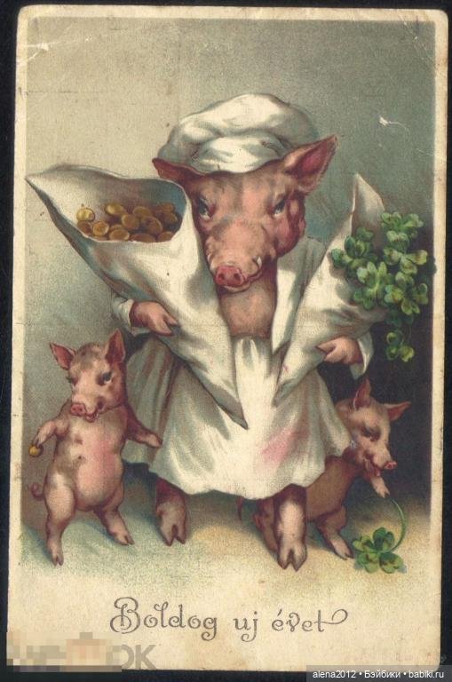 Из истории открыток с поросятами и свиньями