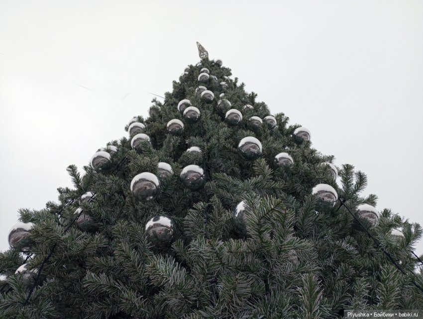 Муля и ёлки — Домашние фото авторских игрушек: Тедди