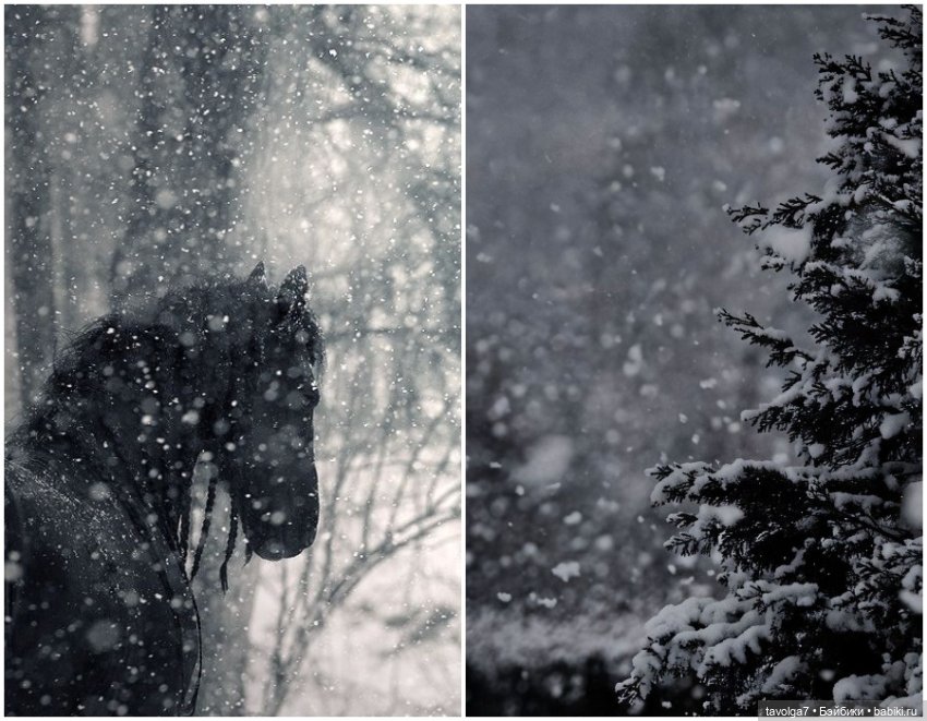 Самый элегантный колорит декабря