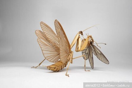 Скульптуры из бамбука Noriyuki Saitoh