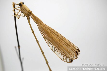 Скульптуры из бамбука Noriyuki Saitoh