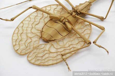 Скульптуры из бамбука Noriyuki Saitoh