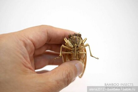 Скульптуры из бамбука Noriyuki Saitoh