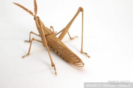 Скульптуры из бамбука Noriyuki Saitoh