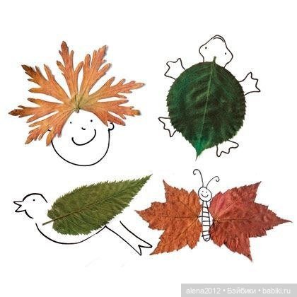 Листья осенние — Другие хобби и увлечения: сад (фото 6)