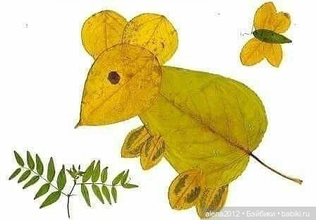 Листья осенние — Другие хобби и увлечения: сад