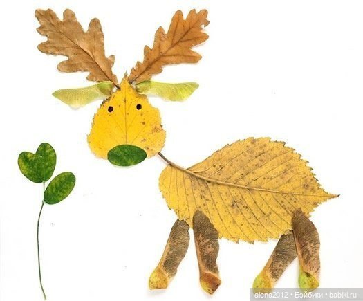 Листья осенние — Другие хобби и увлечения: сад (фото 3)