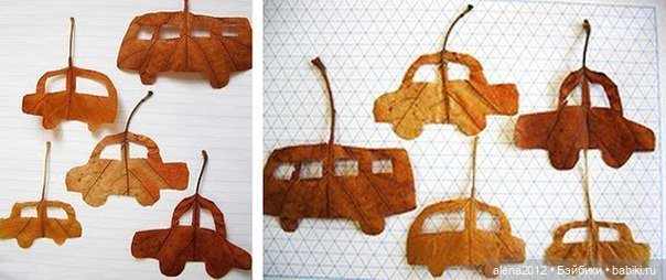 Листья осенние — Другие хобби и увлечения: сад