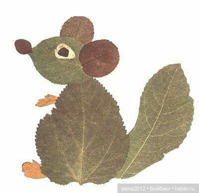 Листья осенние — Другие хобби и увлечения: сад