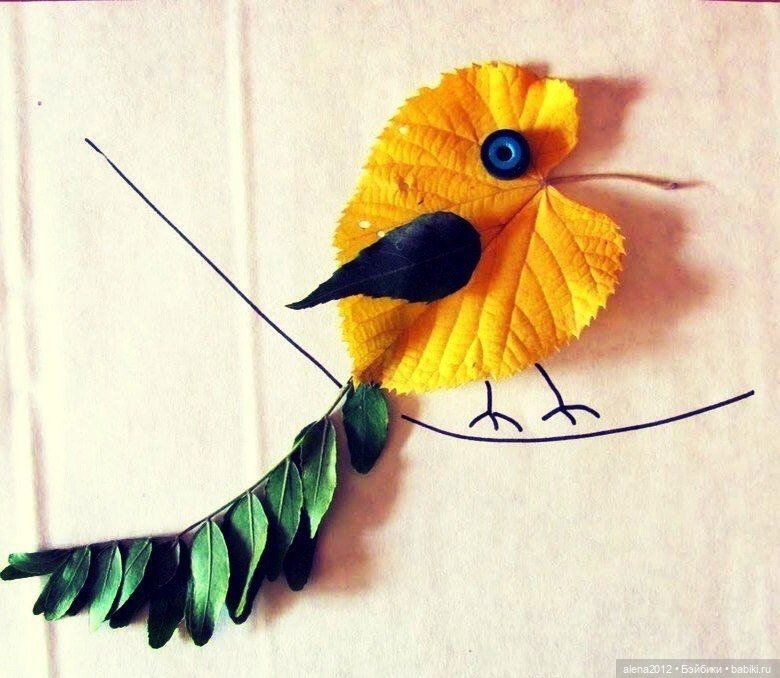 Листья осенние — Другие хобби и увлечения: сад