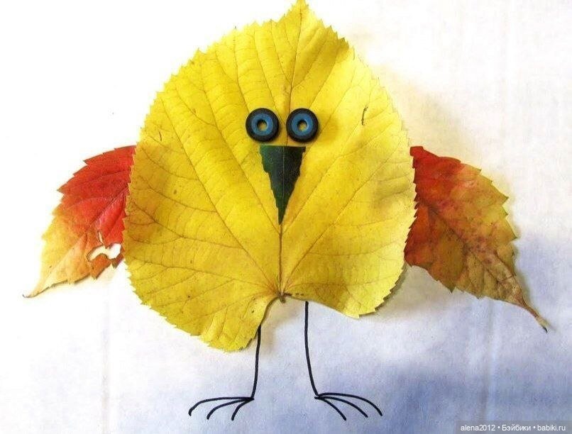 Листья осенние — Другие хобби и увлечения: сад