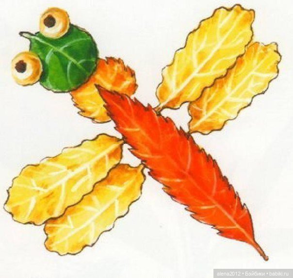 Листья осенние — Другие хобби и увлечения: сад