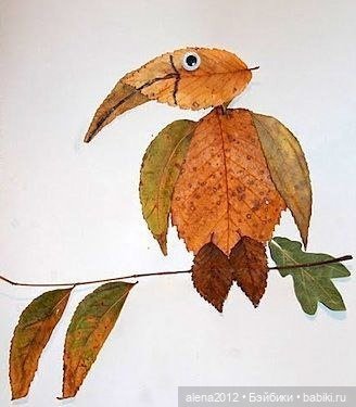 Листья осенние — Другие хобби и увлечения: сад (фото 2)