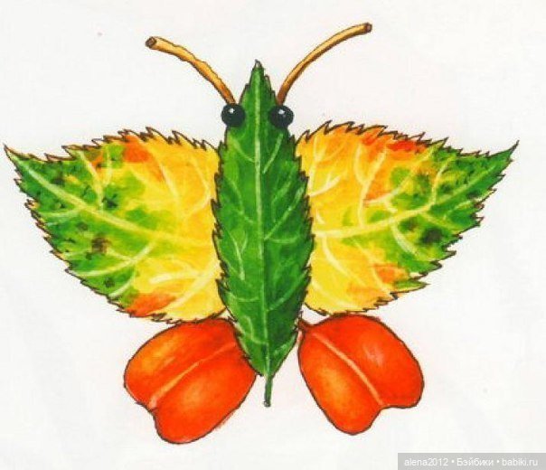 Листья осенние — Другие хобби и увлечения: сад