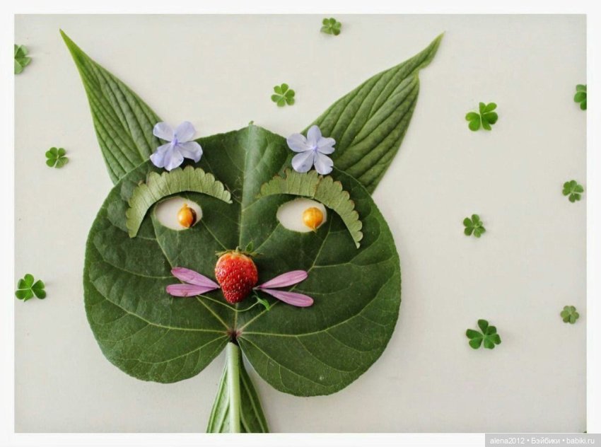 Листья осенние — Другие хобби и увлечения: сад